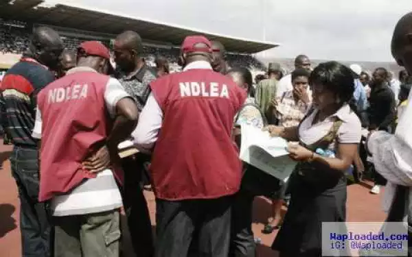 NDLEA Arrests 120 Drug Suspects In Kaduna